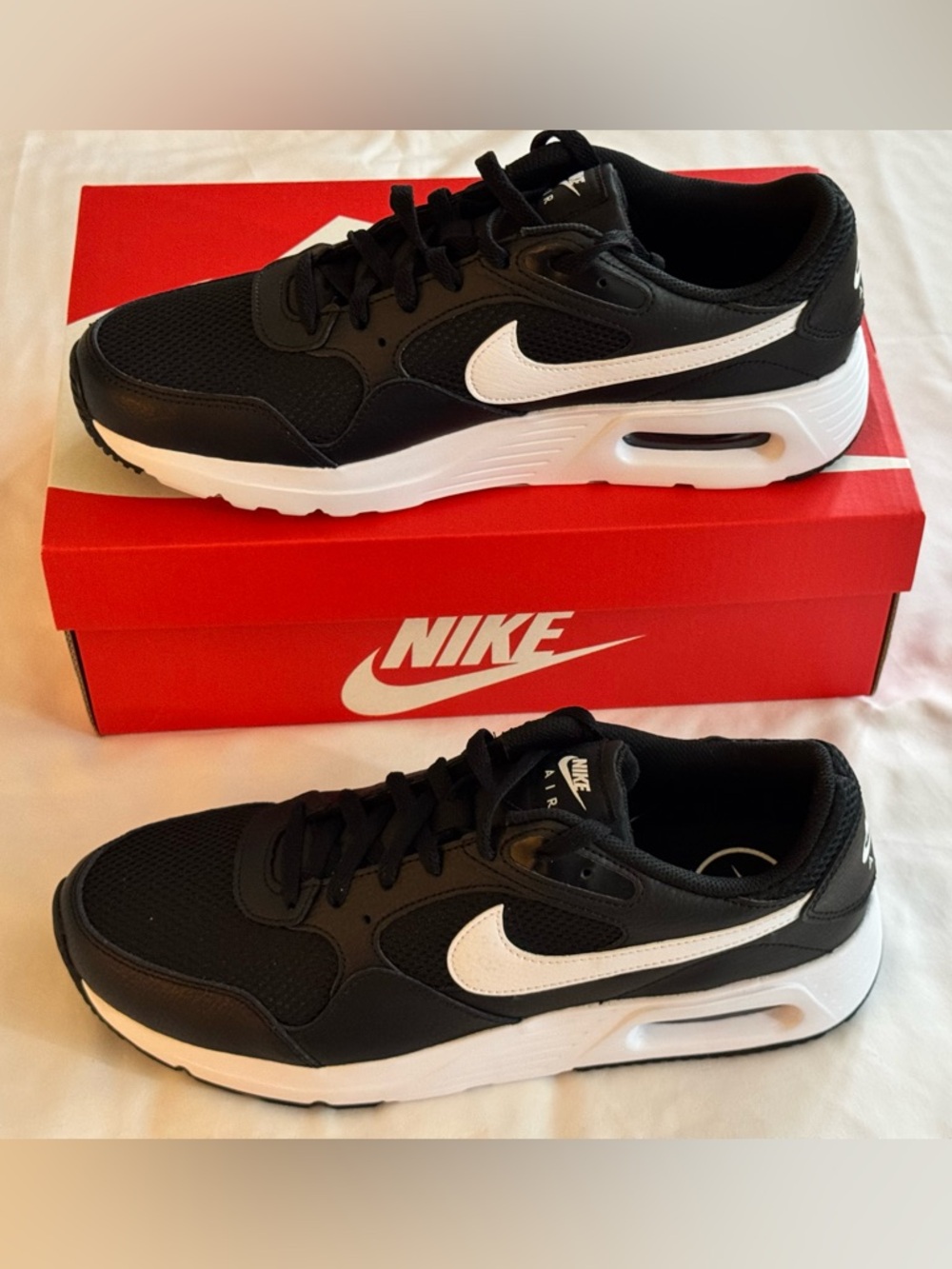 Men’s Nike Air Max SC Shoes